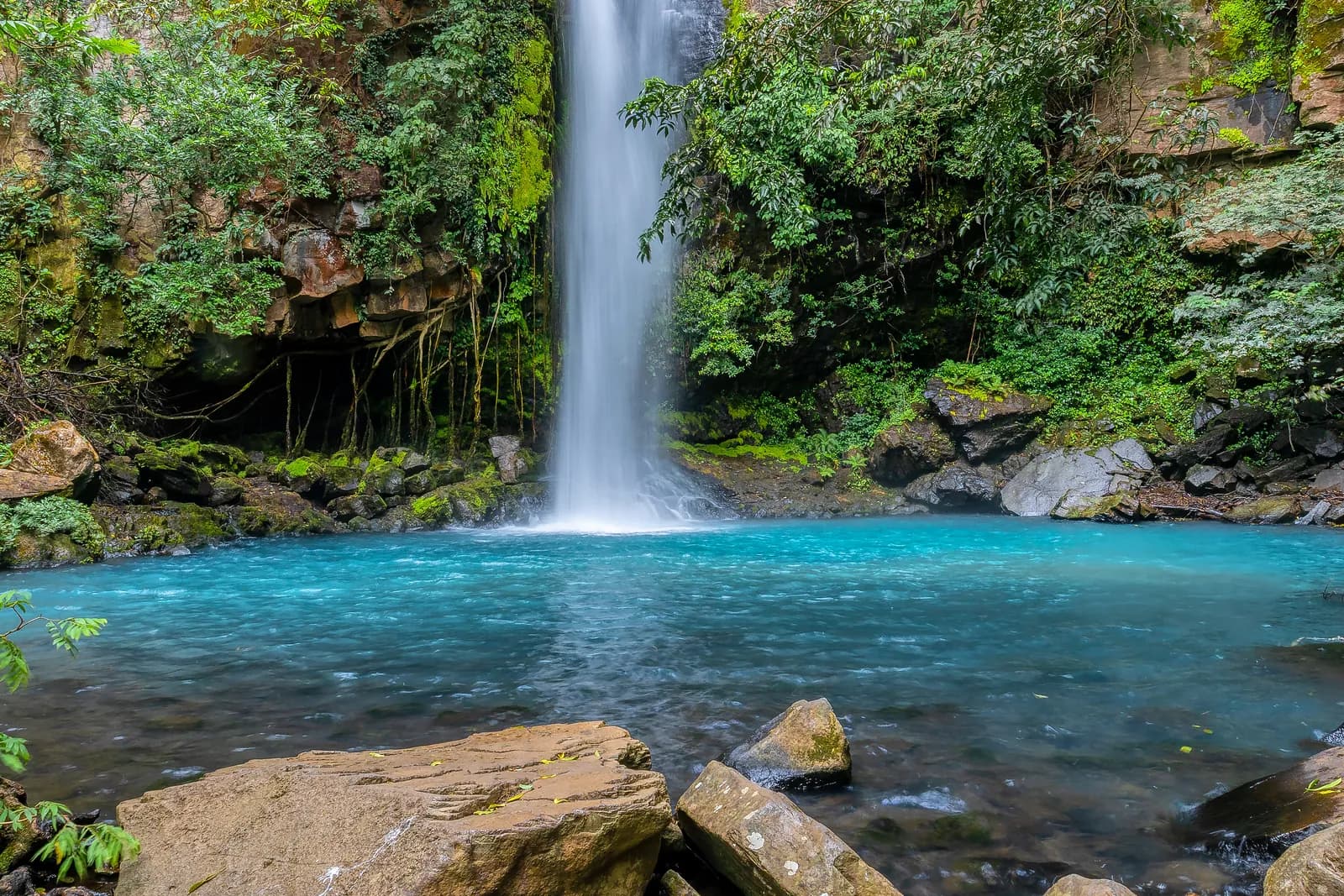 Rainforest Waterfalls: La Paz & Tesoro Escondido