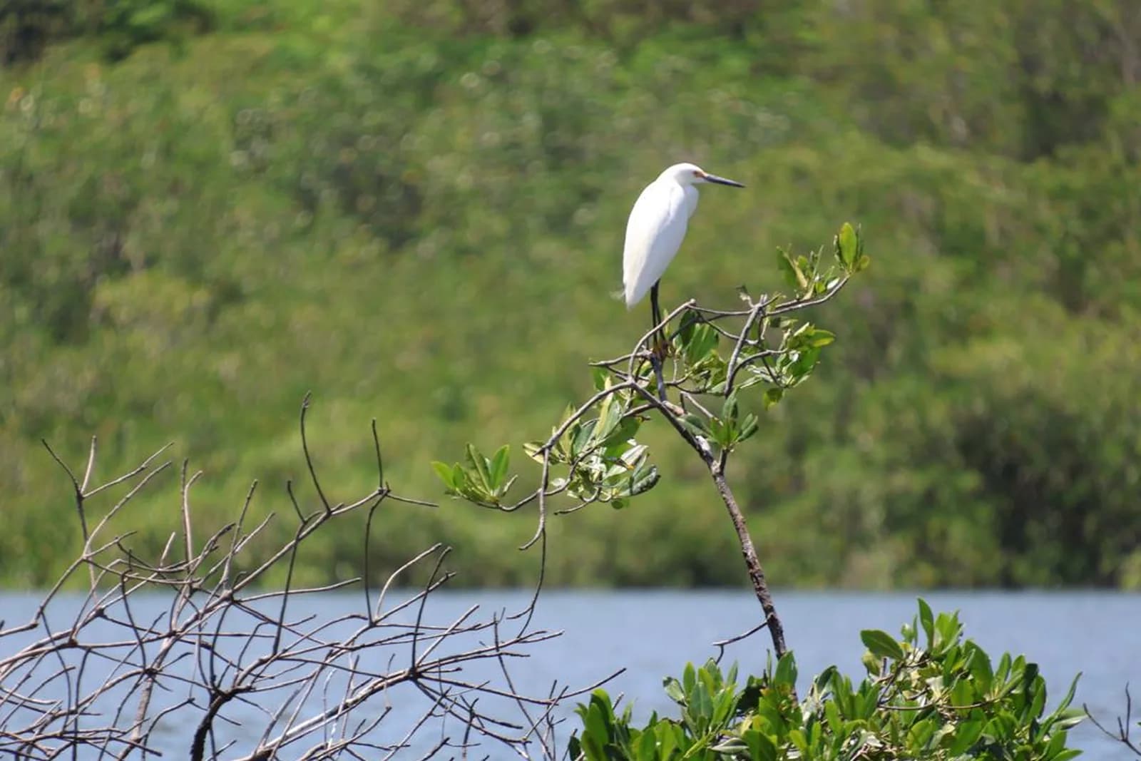 Isla San Lucas, Isla Venado und das schwimmende Restaurant