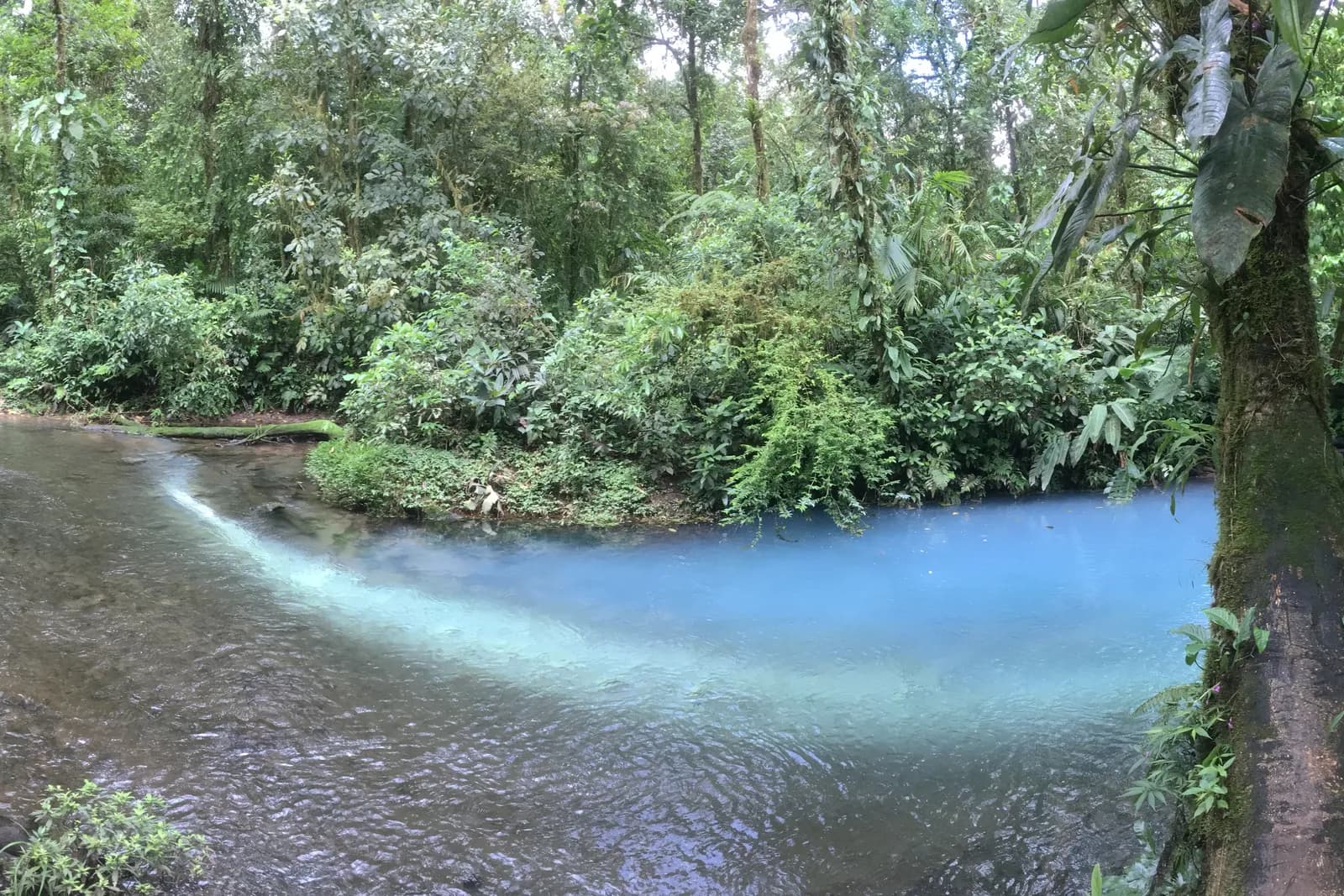 Tenorio Volcano & Río Celeste: Turquoise Waterfall and the Katira Labyrinth