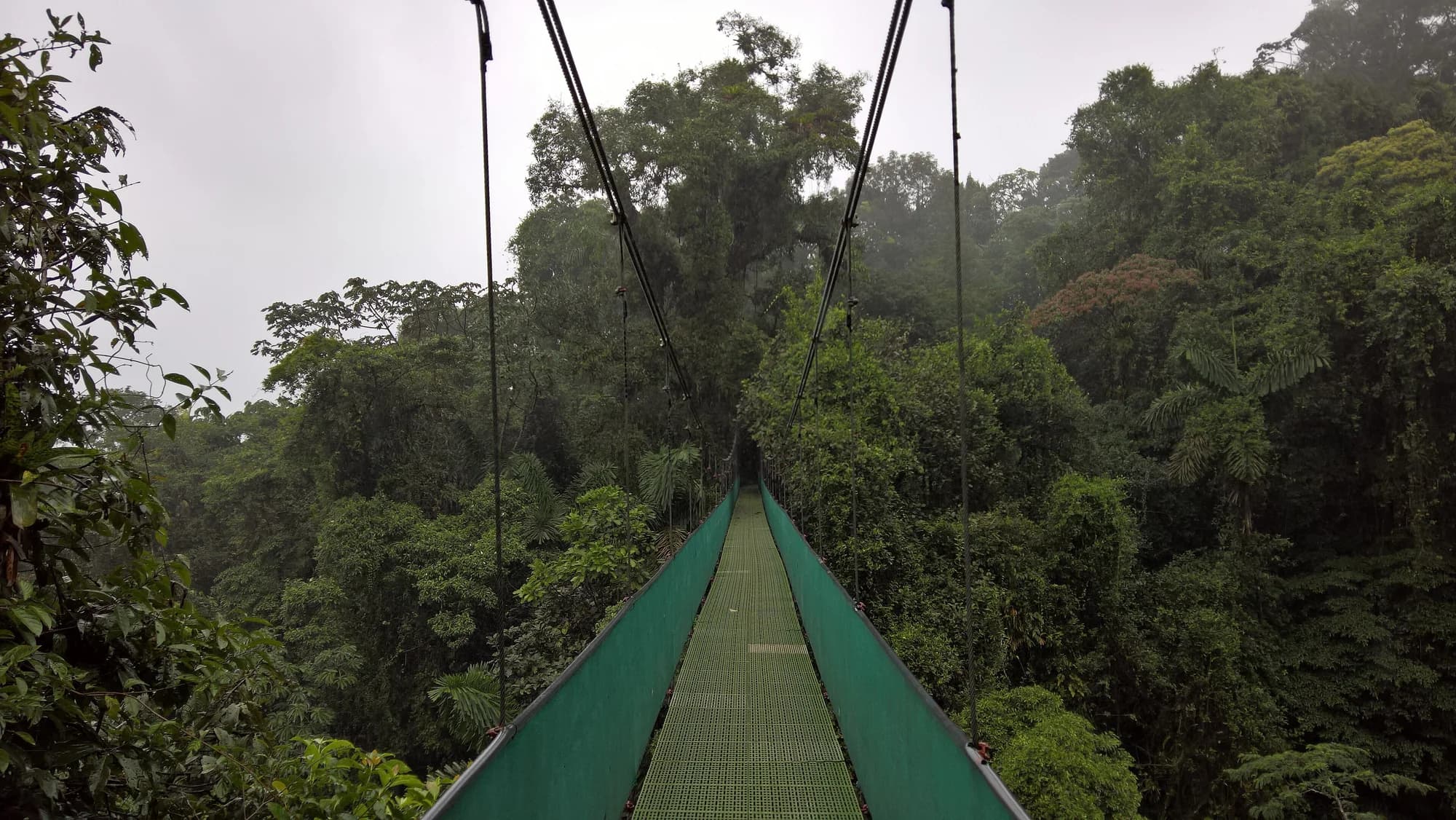 Rainforest hanging bridge in La Fortuna, Costa Rica