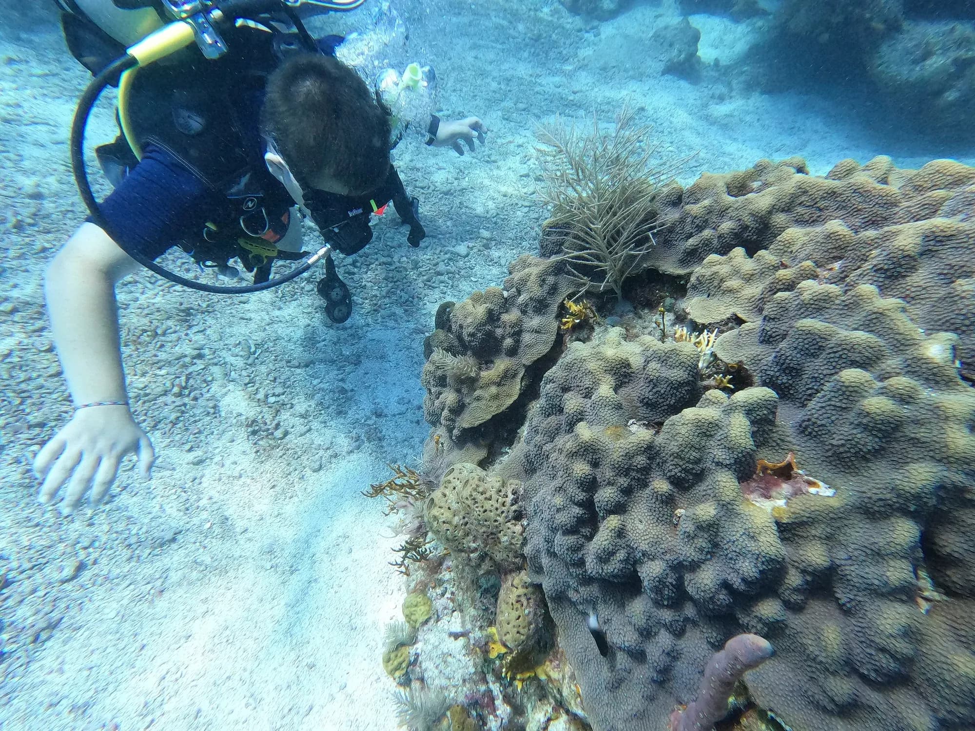 Scuba diving adventure on a tropical coral reef