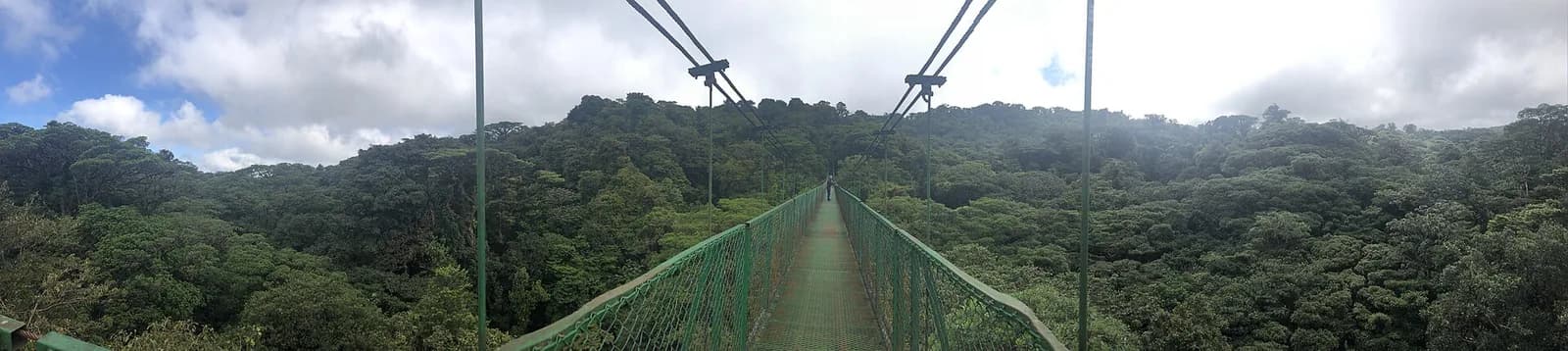 Hanging bridges through the Monteverde cloud forest, Costa Rica